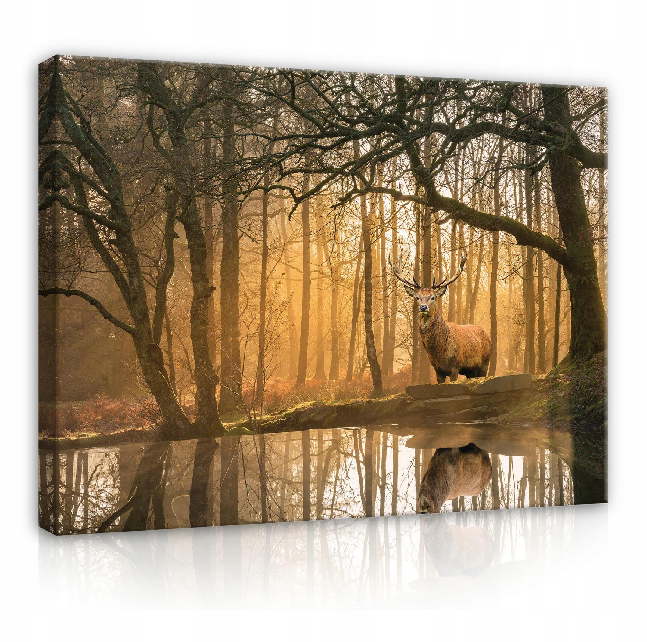 LEINWANDBILDER Natur Wald Hische 100x70 - Multicolor, Holzwerkstoff (100/70cm) - Wallarena