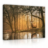 LEINWANDBILDER Natur Wald Hische 120x80 - Multicolor, Holzwerkstoff (120/80cm) - Wallarena