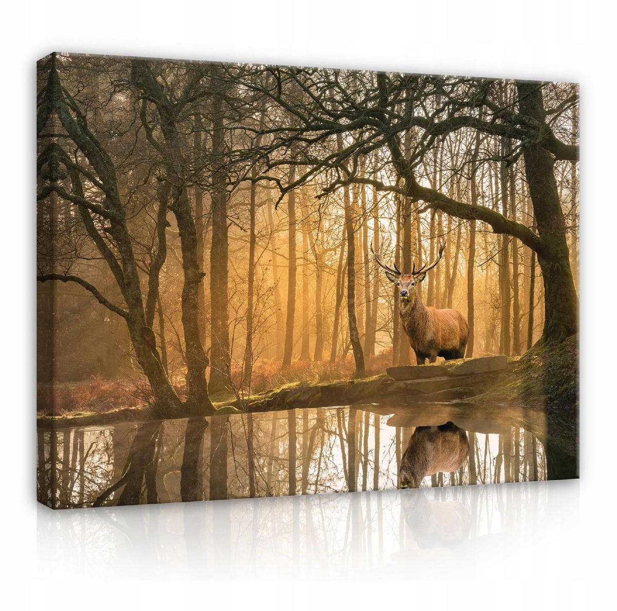 LEINWANDBILDER Natur Wald Hische 120x80 - Multicolor, Holzwerkstoff (120/80cm) - Wallarena