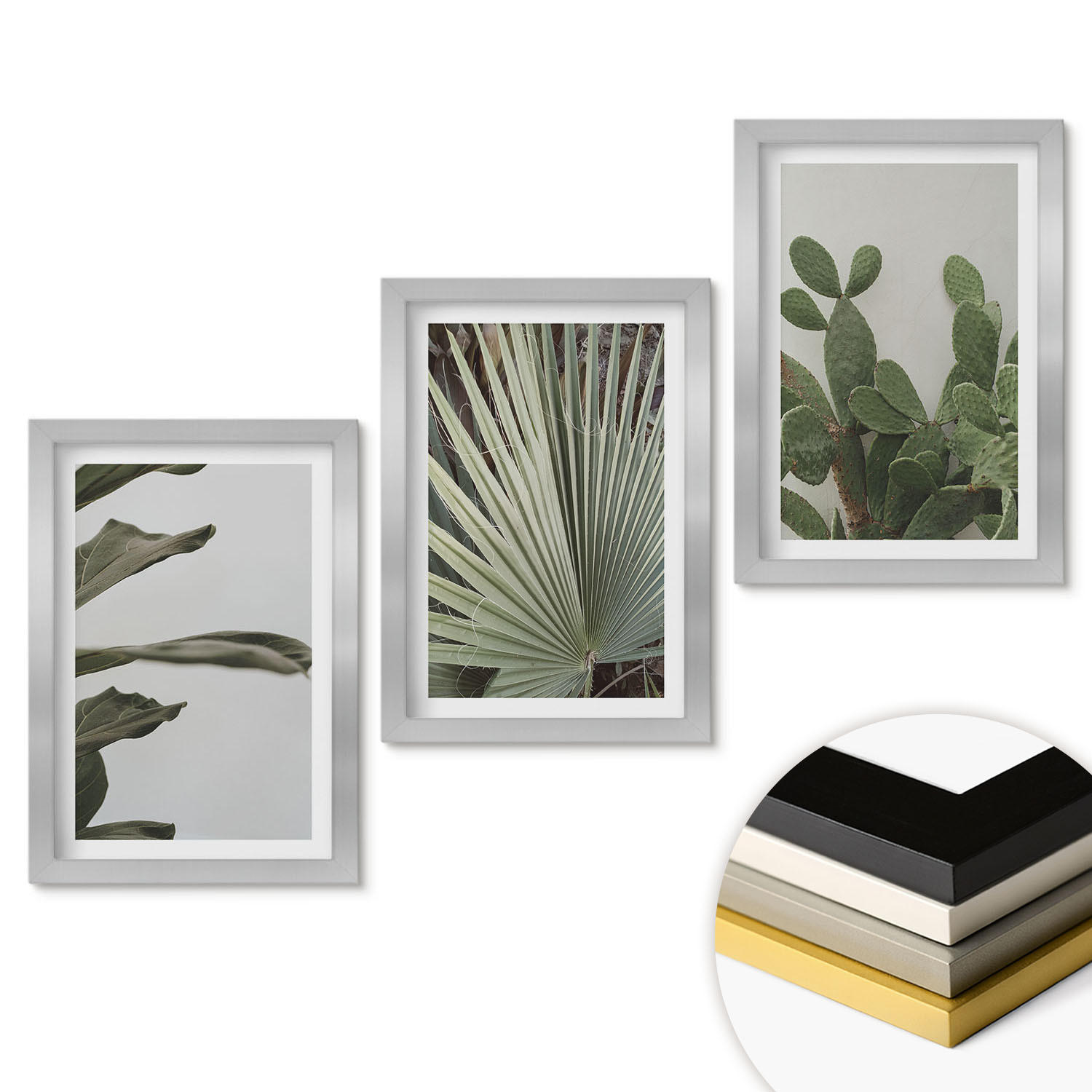 WANDBILDER 3er Set - 20x30 cm Silberner Rahmen - Blätter tropischer Pflanzen in Pastellfarben - Silberfarben, Kunststoff (20/30cm) - ArtPrintCave