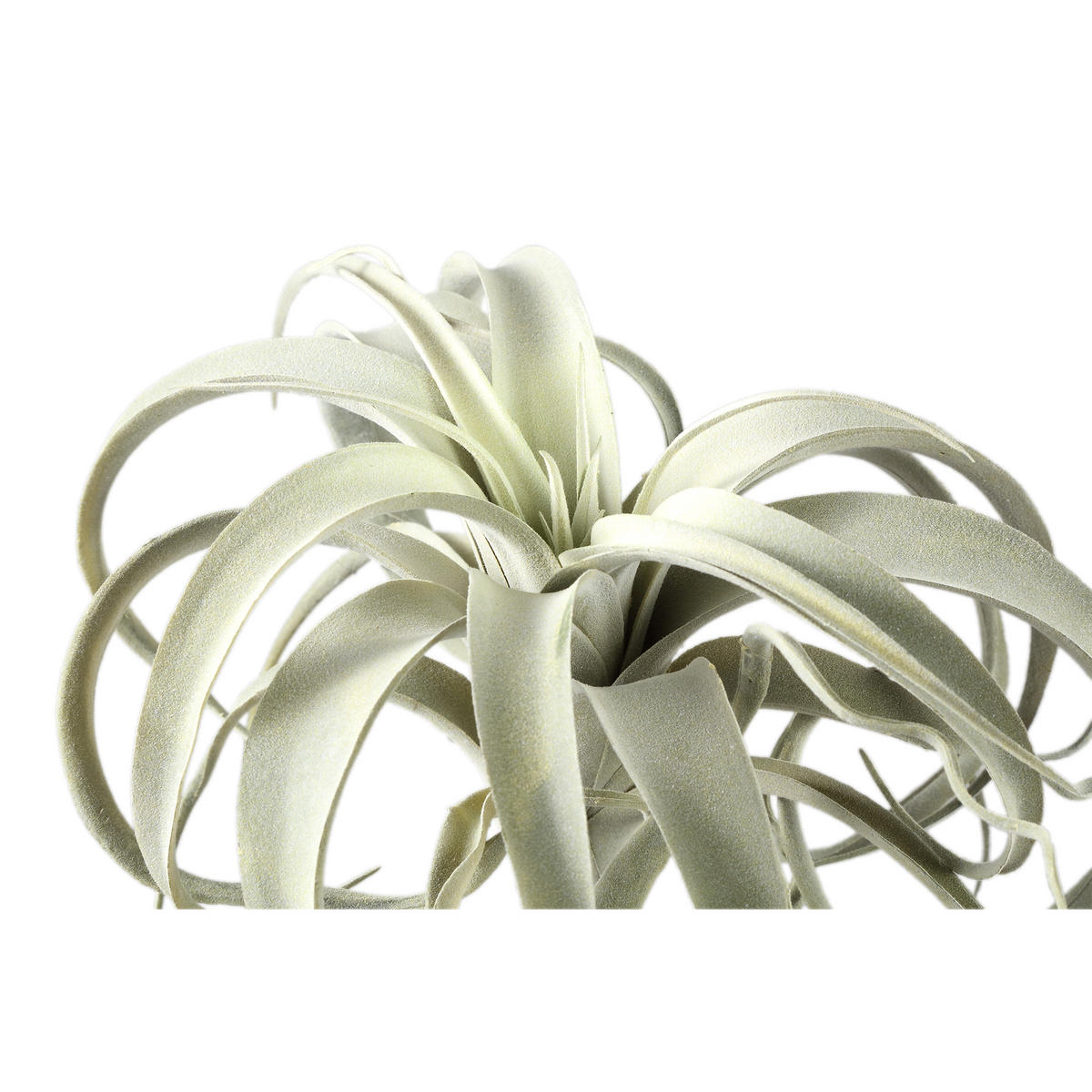 KUNSTPFLANZE Succulent Grün 18/24/25cm - Grün, Kunststoff/Metall (25cm) - PTMD Collection