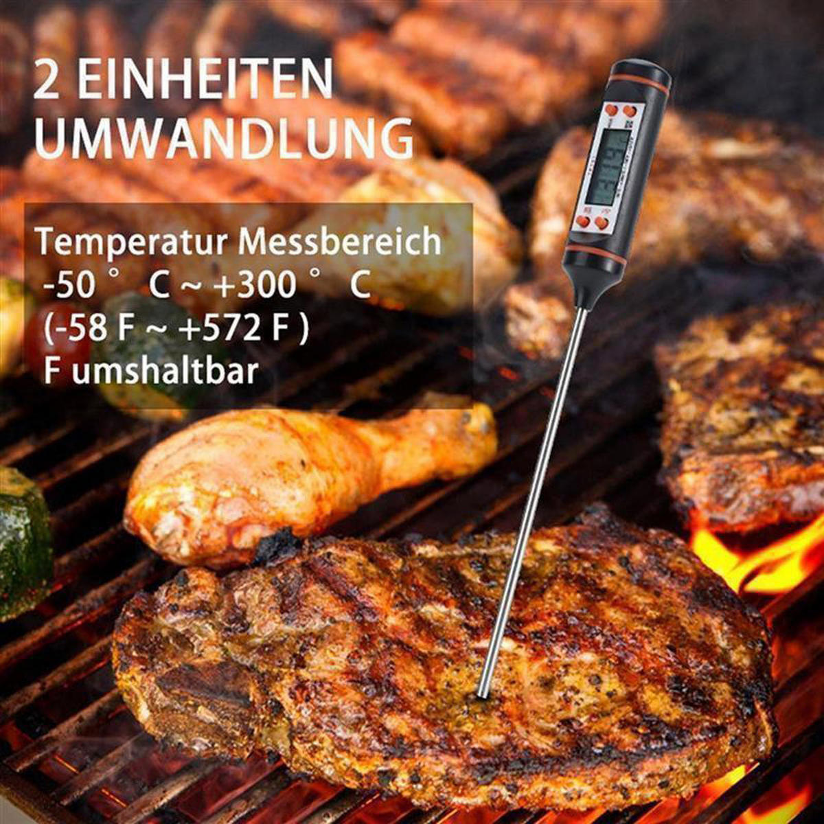 KÜCHENTHERMOMETER - Schwarz, Kunststoff - Intirilife