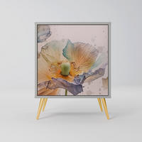 SIDEBOARD SOFTEN POPPY, Grau, 57,5x42x75,5 cm, Goldfarbene Metallfüße - Goldfarben/Multicolor, Holzwerkstoff/Metall (57.5/75.5/42cm) - SpaceRebels