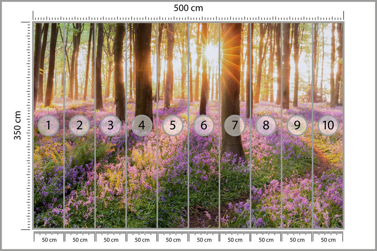 FOTOTAPETA Les Kvety Východ Slnka Krajina 3D 500 x 350 cm - oranžová/hnedá, papier (500/350cm) - Muralo