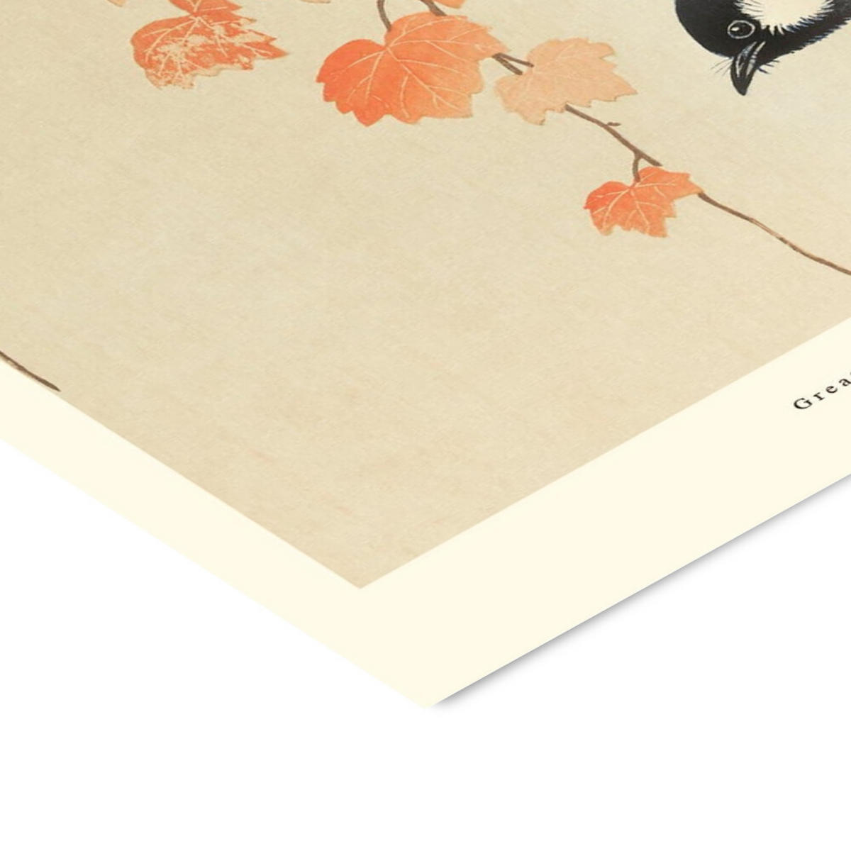 POSTER mit Rahmen A.P. Atelier - Great Tit on Paulownia Branch - Schwarz/Orange, Holz/Papier (30/40cm) - Poster&Frame