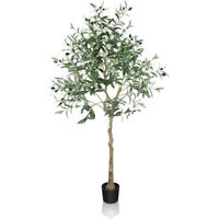 KUNSTPFLANZE Olivenbaum 150 cm mit Topf - Olivgrün, Kunststoff (150cm)