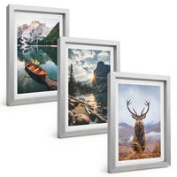 BILDER SET 3er Set - 20x30 cm Silberner Rahmen - Bergsee, Bootsfahrt, Sonnenuntergang, Hirsche - Silberfarben, Kunststoff (20/30cm) - TULUP