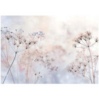 FOTOTAPETE Blumen Pusteblumen Beige 400x280 cm - Multicolor, Papier (400/280cm) - Wallarena