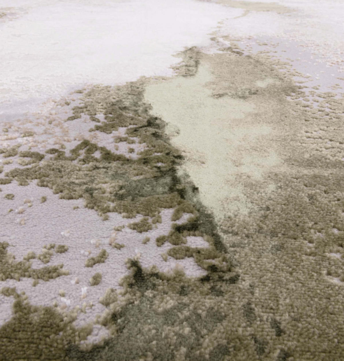 TEPPICH modern Wohn-/Schlafzimmer Naturfaser DORO Grün 45x75 cm - Olivgrün, Naturmaterialien (45/75cm) - Novatrend