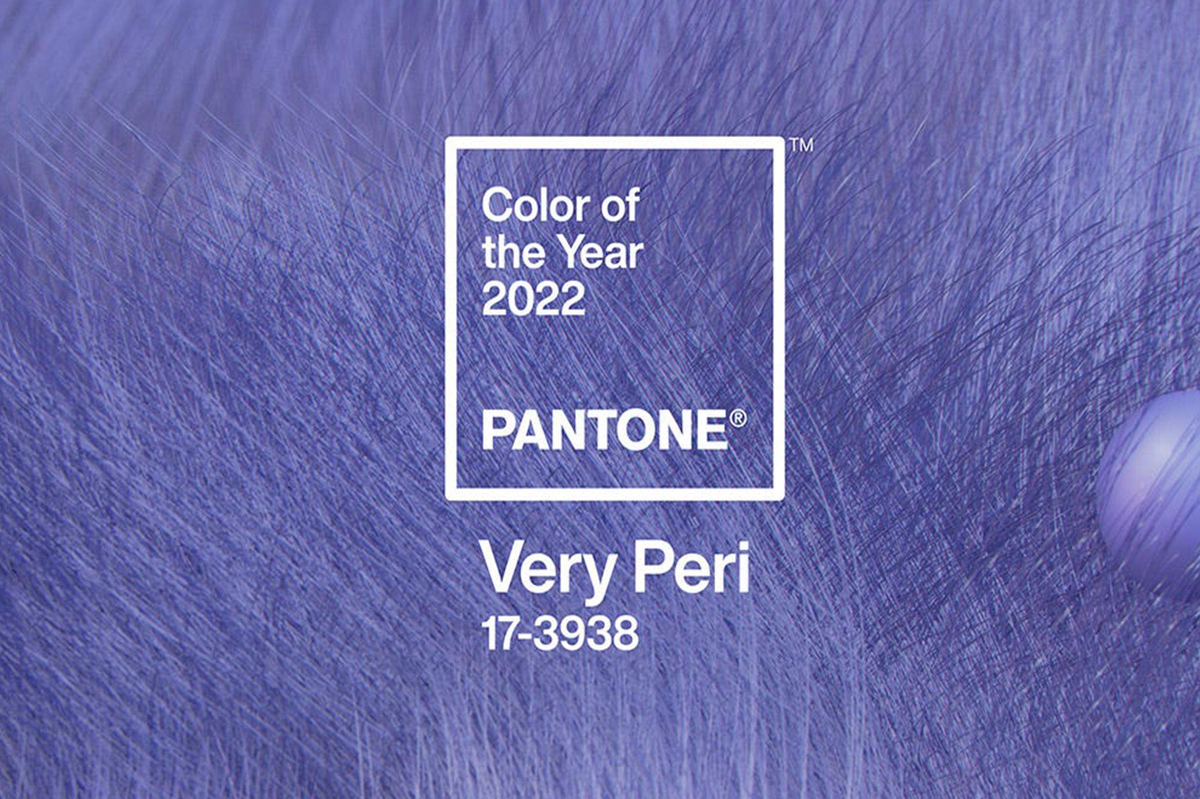 17 тоне. Цвет года пантон 2022 very Peri. Цвет года 2022 Pantone. Pantone 17-3938 very Peri. Pantone палитра very Peri.