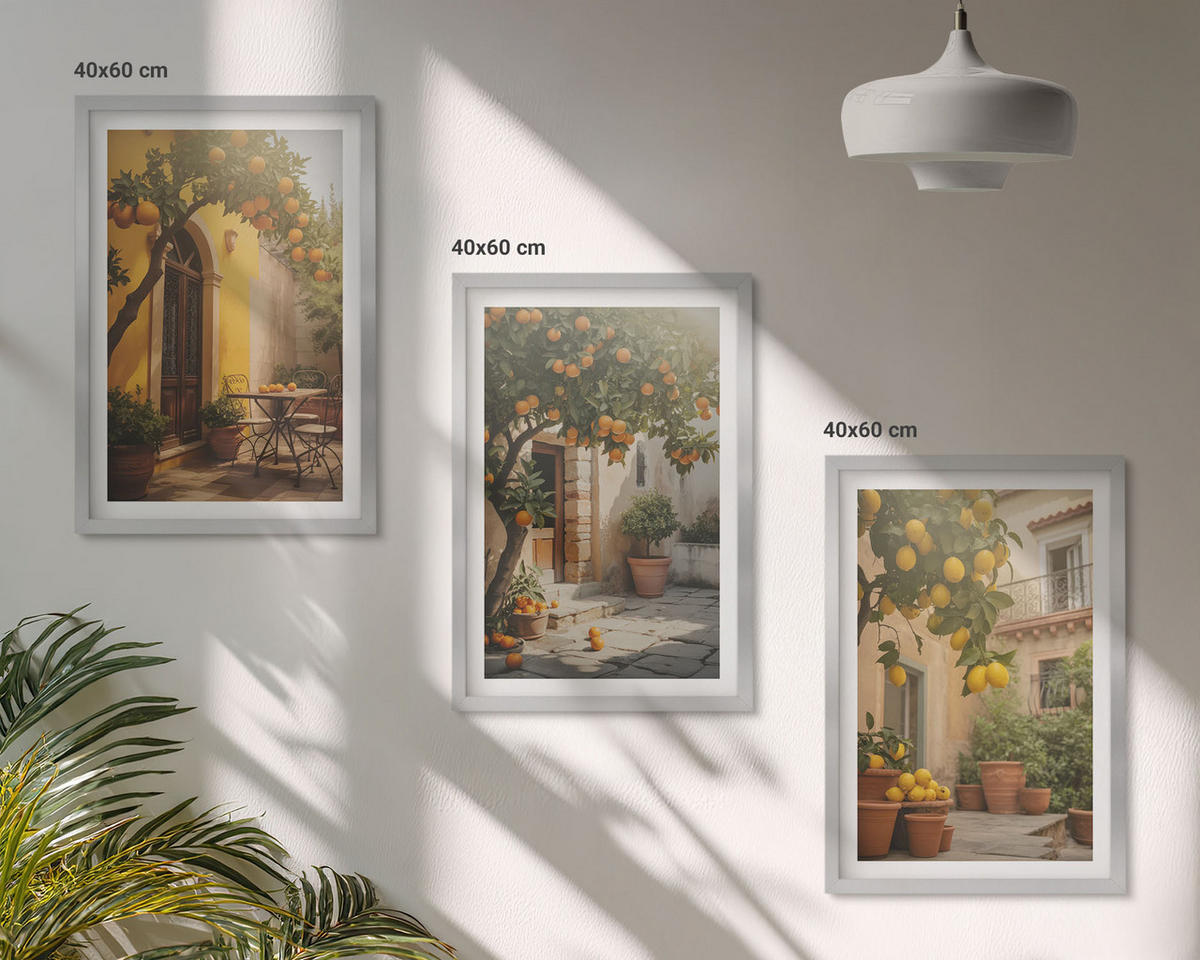 BILDER SET 3er Set - 40x60 cm Silberner Rahmen - Zitrustöpfe für sonnige Terrassen - Silberfarben, Kunststoff (40/60cm) - TULUP