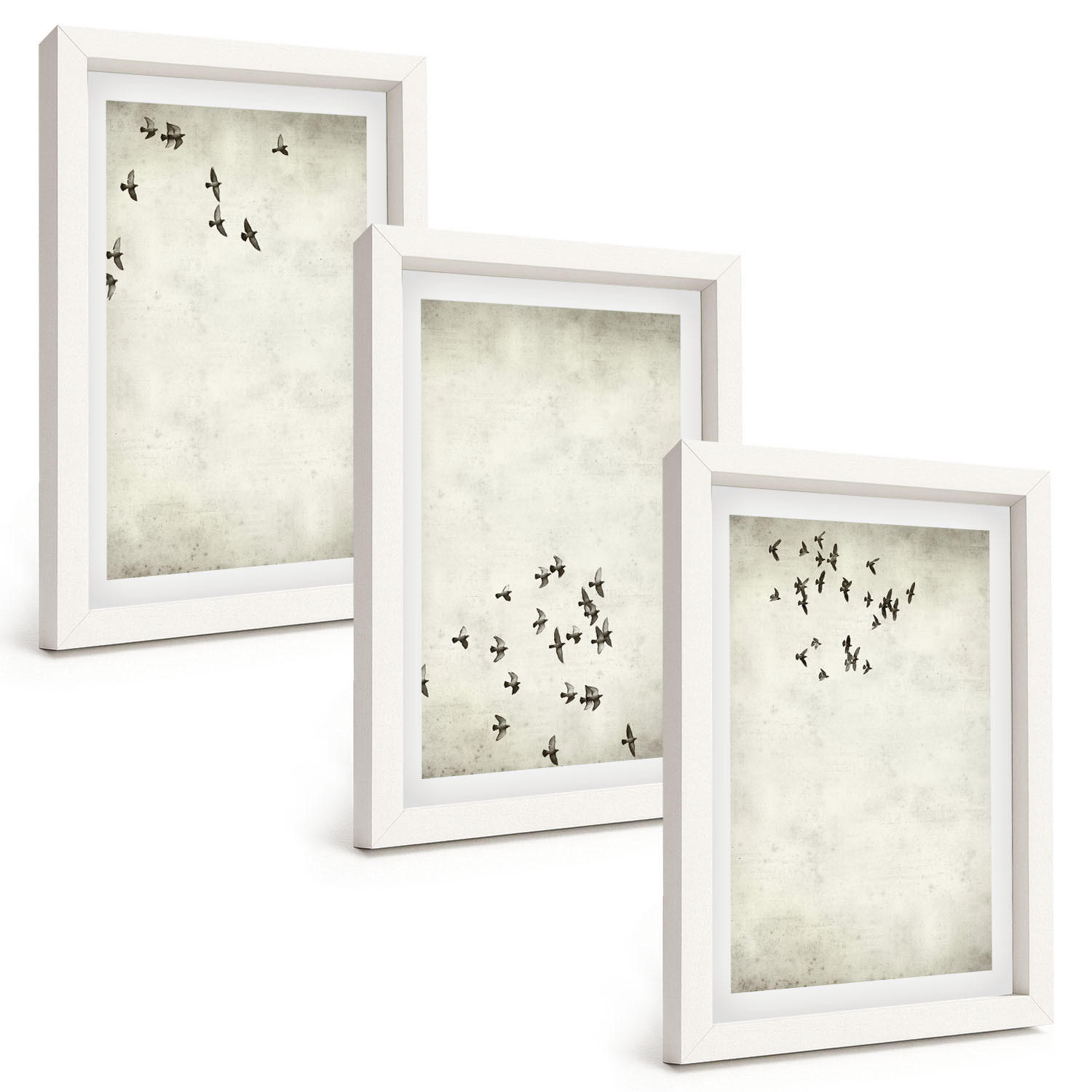 BILDER SET 3er Set - 20x30 cm Weißer Rahmen - Minimalistische Vogelmalerei - Weiß, Kunststoff (20/30cm) - TULUP