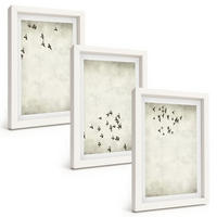 BILDER SET 3er Set - 20x30 cm Weißer Rahmen - Minimalistische Vogelmalerei - Weiß, Kunststoff (20/30cm) - TULUP