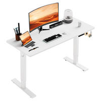 SCHREIBTISCH elektrisch höhenverstellbar 60 x 140 cm, mit Memory- und Kollisionsschutzfunktion - Weiß, Metall (140/60/117cm) - HOMAVO