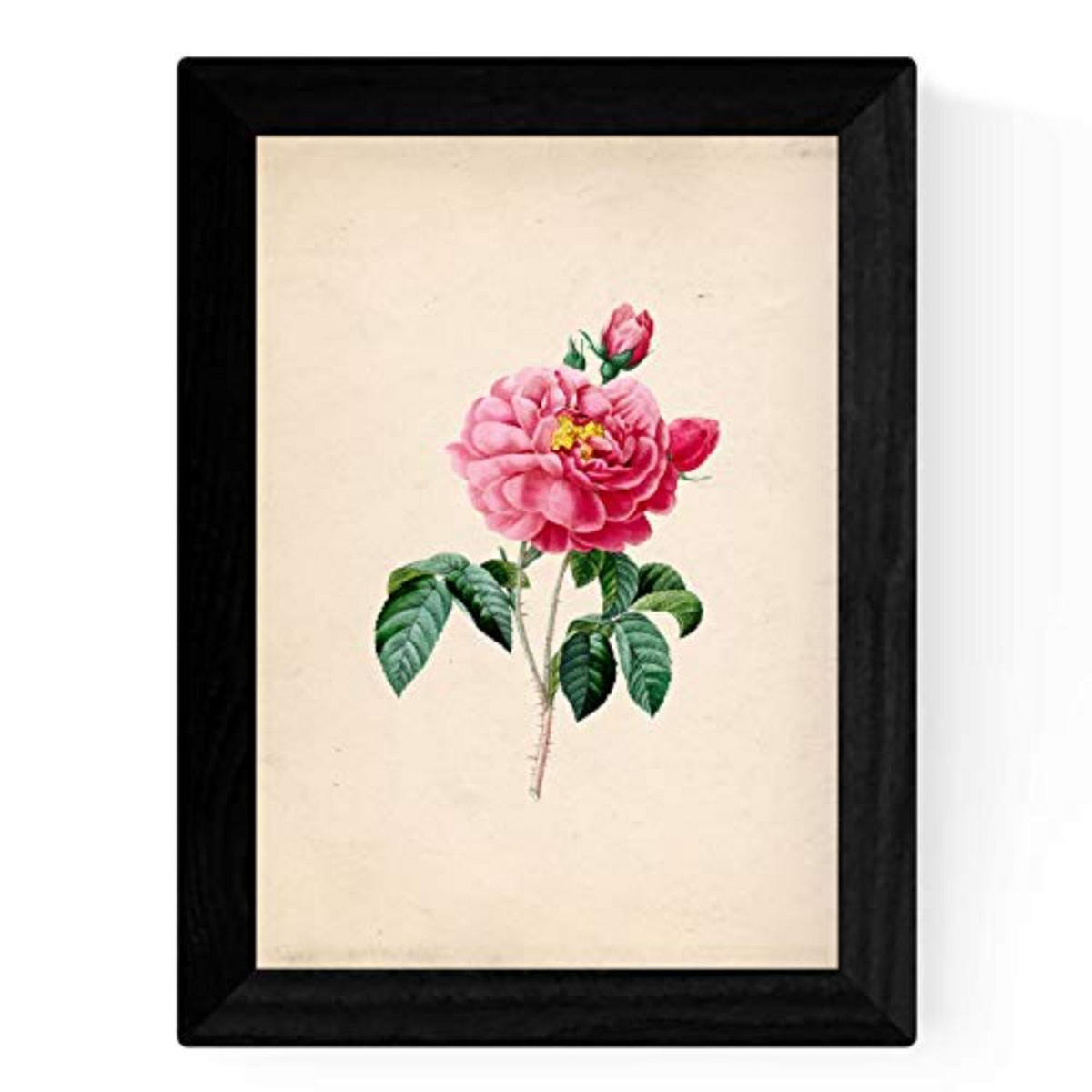 POSTER Set mit 4 Botanische Papier Hintergrund Rosa Blumen A3 Rahmenlos - Klar, Papier (29.7/3cm) - Nacnic