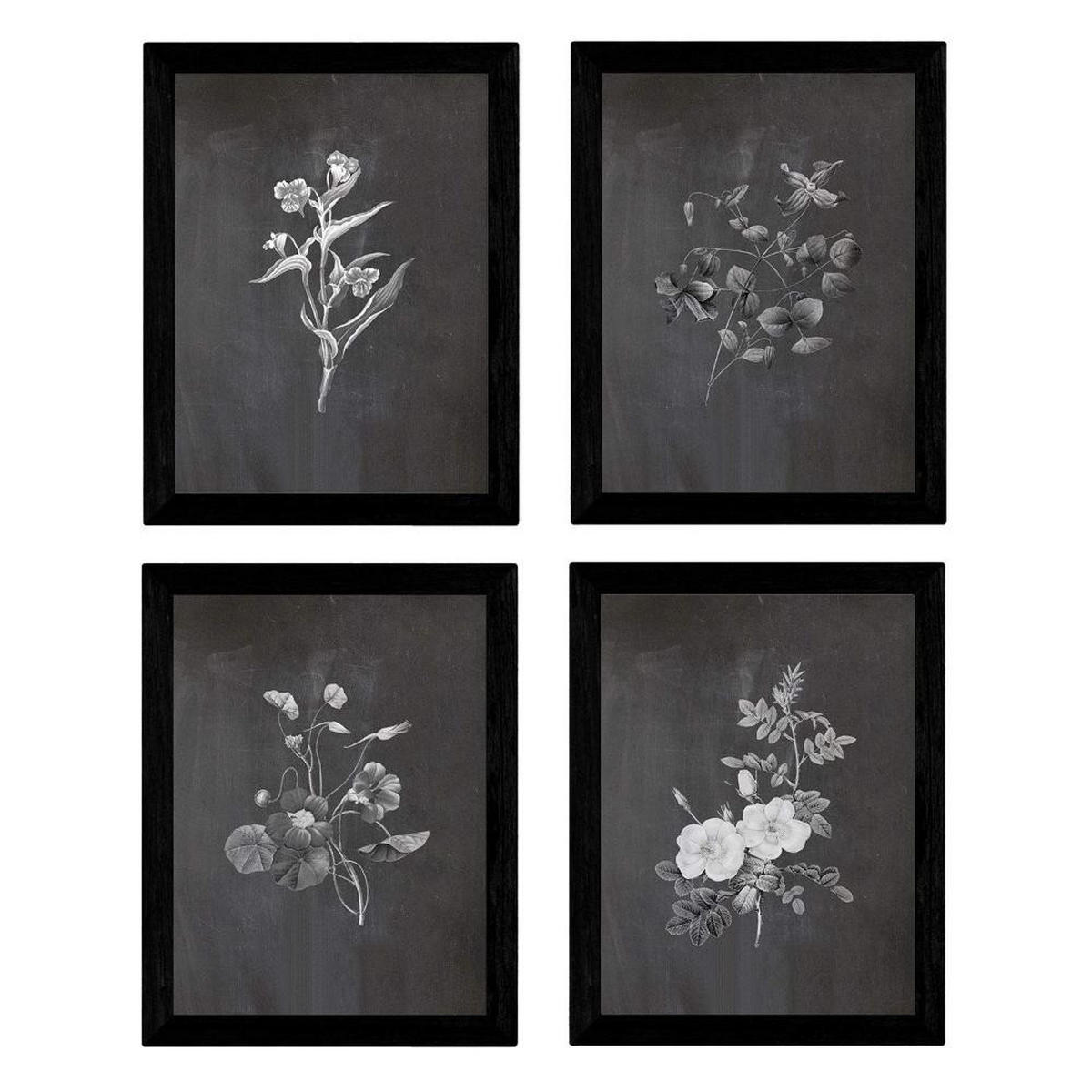 POSTER Set mit 4 Botanische Schwarz Hintergrund farbige Blumen A3 Rahmenlos - Klar, Papier (29.7/3cm) - Nacnic