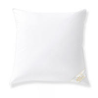 DAUNENKOPFKISSEN MARIE Entendaunen fest - Weiß, Naturmaterialien/Textil (80/80cm) - Goldmarie 