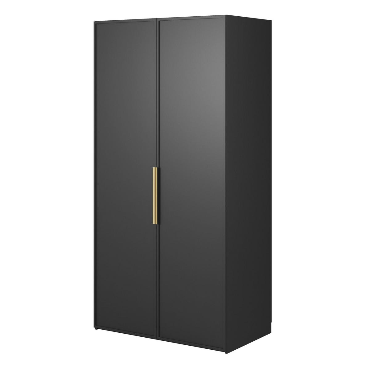 KLEIDERSCHRANK Frame Schwarz 100 cm - Goldfarben/Schwarz, Holzwerkstoff/Metall (100/200.5/57cm) - Selsey