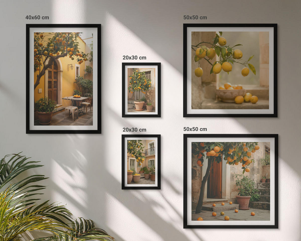 WANDBILDER 5er-Set - 50x50 cm & 20x30 cm & 40x60 cm Schwarzer Rahmen - Terrasse mit Zitrusbäumen - Schwarz, Kunststoff (40/60cm) - ArtPrintCave
