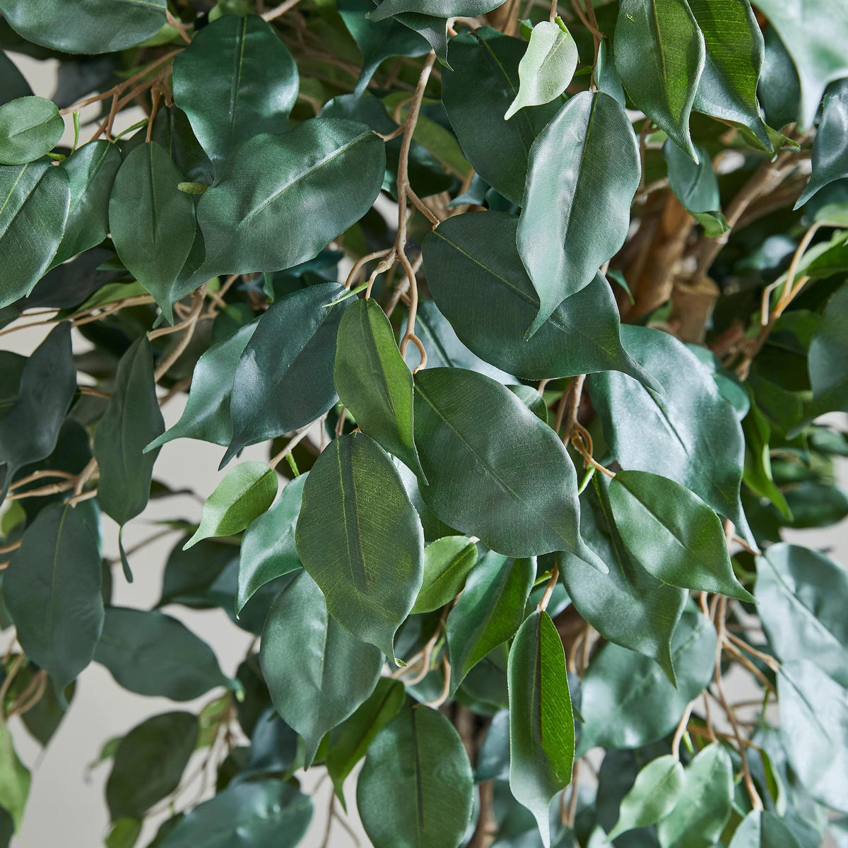 KUNSTBAUM Künstlicher Ficus – Amadior 150 cm - Grün, Kunststoff (150cm) - aplanta