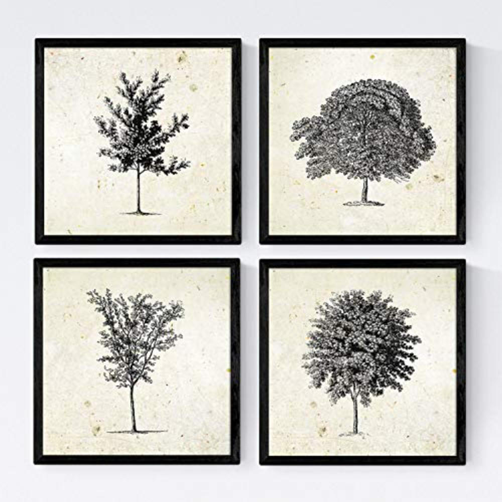 POSTER Set mit 4 Blättern der mittlere dünne Bäume Stamm 20x20cm Rahmenlos - Klar, Papier (20/3cm) - Nacnic