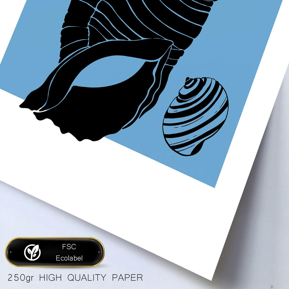 POSTER Set Mit 6 In Schwarzer Tinte Meeresschnecken Kunstdrucke Von Meer Und Ozean Für Innenarchitektur A3 & A4 Schwarzer Rahmen - Schwarz, Papier (29/3cm) - Nacnic