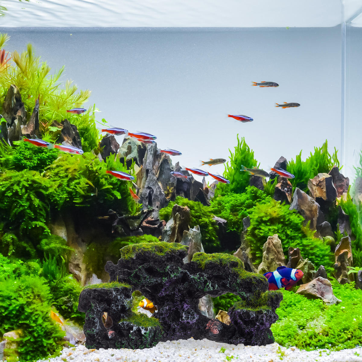 DEKORÁCIA akvárium kameň - čierna, plast (17/8.5/9cm) - Relaxdays