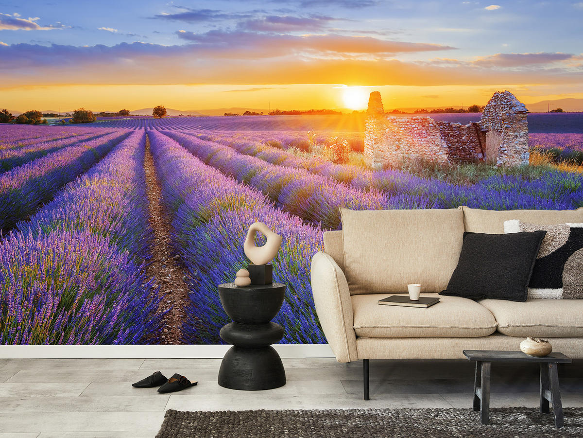 FOTOTAPETA Pre Obývaciu Izbu Levanduľové Pole Západ Slnka Fialová 250 x 175 cm - oranžová/zelená, papier (250/175cm) - Muralo
