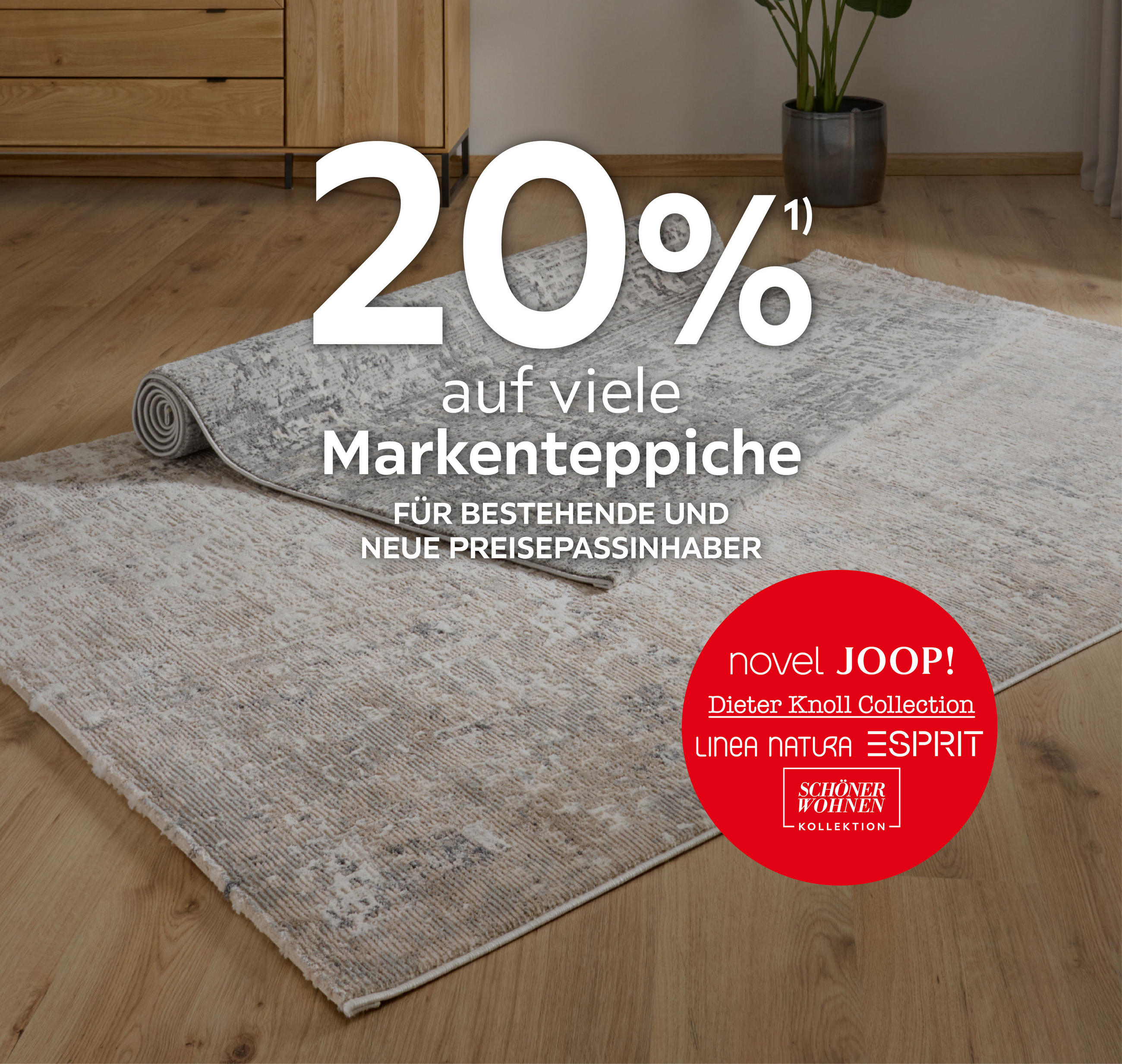 20% auf viele Markenteppiche; Für bestehende und neue Preisepassinhaber; Novel; JOOP!, Linea Natura, Dieter Knoll, ESPRIT; Schöner Wohnen 