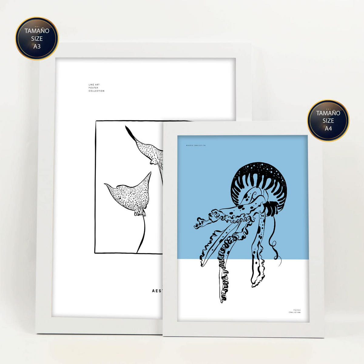 POSTER Set Mit 6 In Schwarzer Tinte Seltener Fisch Kunstdrucke Von Meer Und Ozean Für Innenarchitektur A3 & A4 Weißer Rahmen - Weiß, Papier (29/3cm) - Nacnic