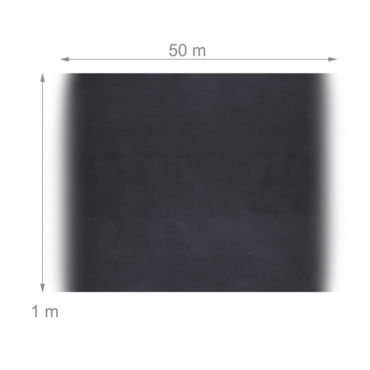 UNKRAUTVLIES - Schwarz, Kunststoff (100/0.1/5000cm) - Relaxdays