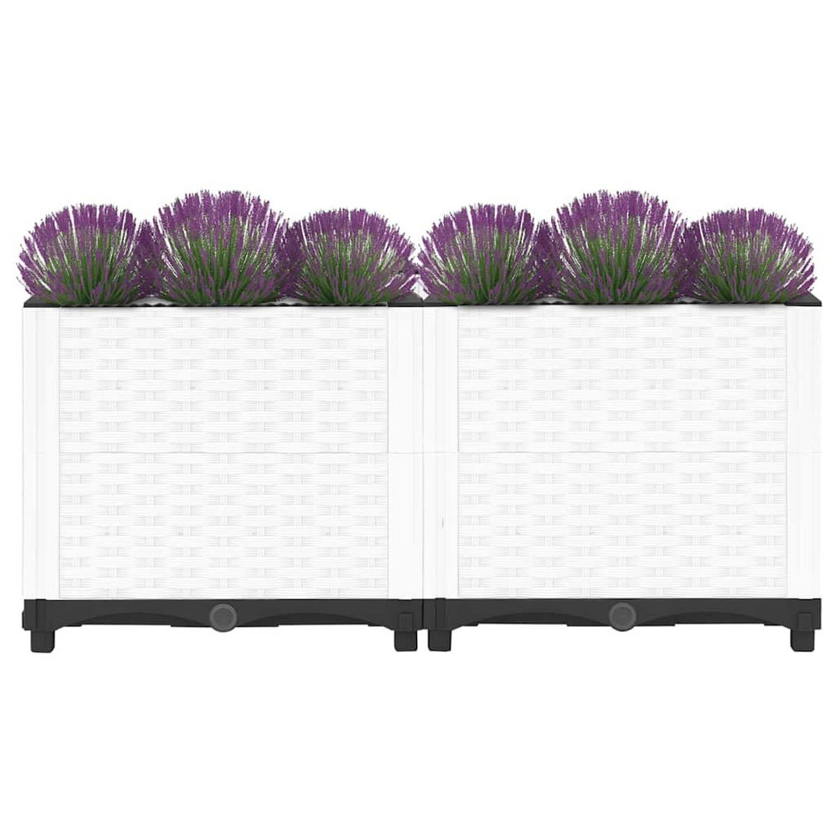 HOCHBEET 80x40x38 cm Polypropylen - Weiß, Kunststoff (80/38/40cm)