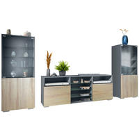 WOHNWAND Granada Eiche sägerau - Eiche San Remo, Holzwerkstoff (286/122.5/35cm) - Vladon