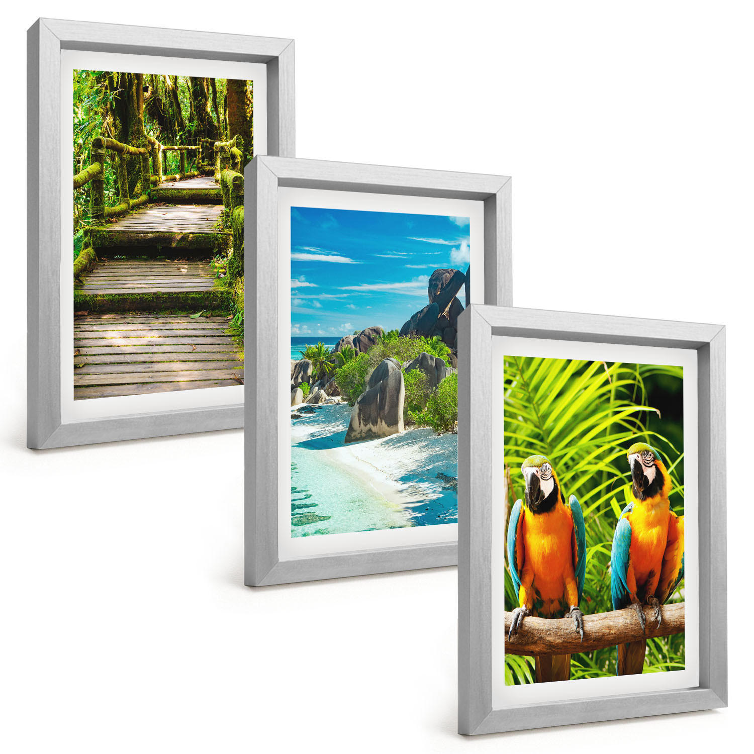 BILDER SET 3er Set - 20x30 cm Silberner Rahmen - Tropischer Wald Papageienwasserfall - Silberfarben, Kunststoff (20/30cm) - TULUP