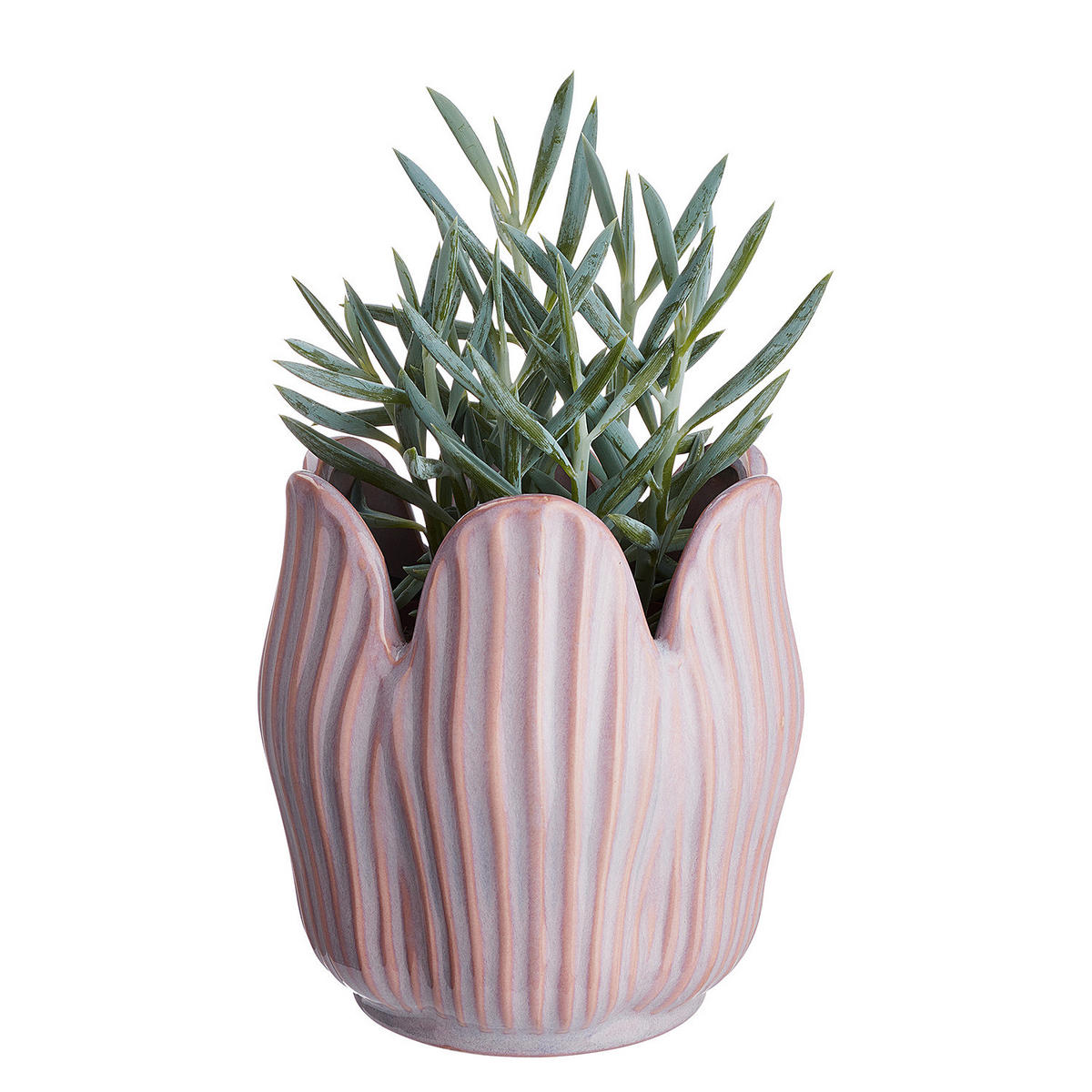 BLUMENÜBERTOPF Tulip - Violett, Keramik (16cm) - Butlers