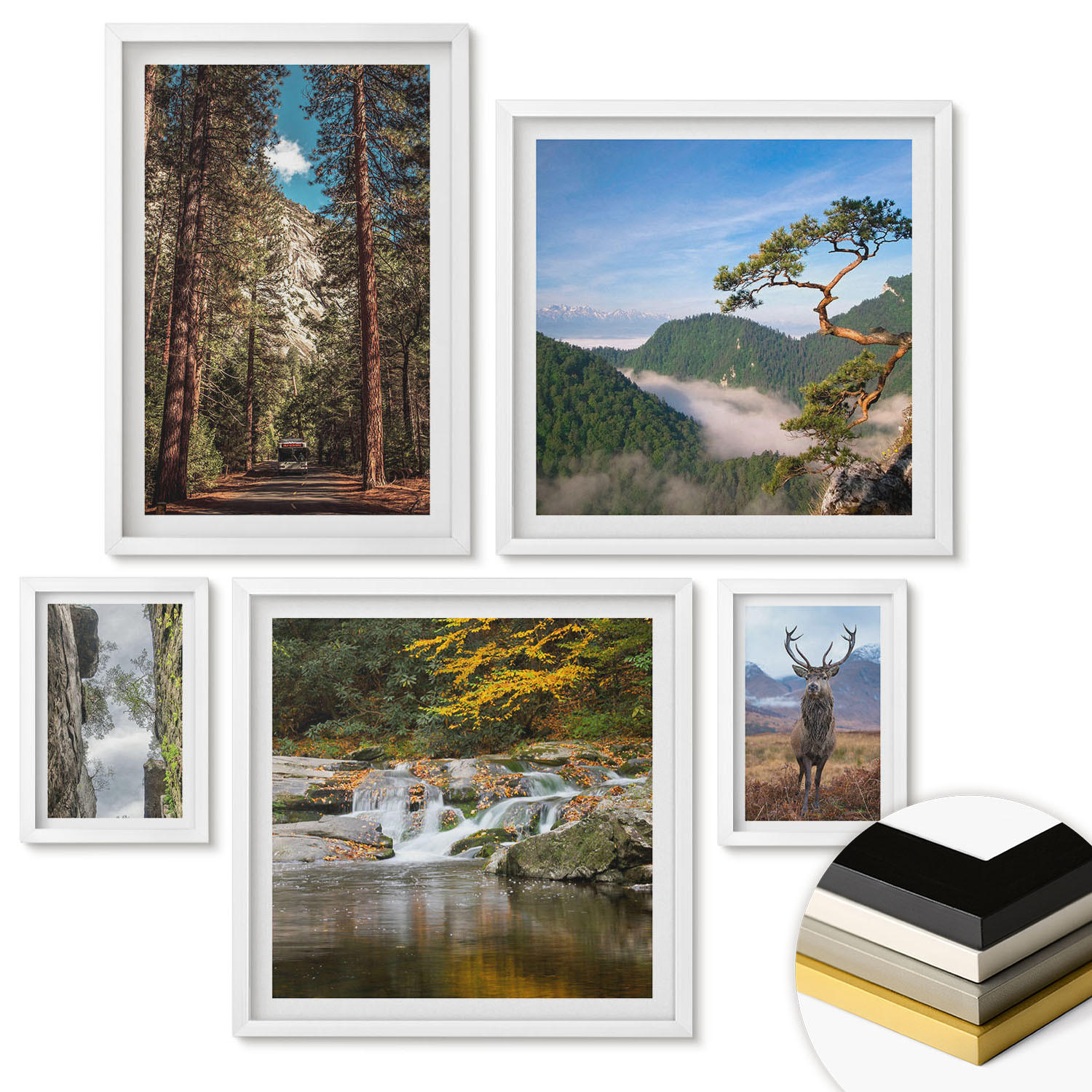 WANDBILDER 5er-Set - 50x50 cm & 20x30 cm & 40x60 cm Weißer Rahmen - Wasserfall Wald Berge Hirsch Natur - Weiß, Kunststoff (40/60cm) - ArtPrintCave