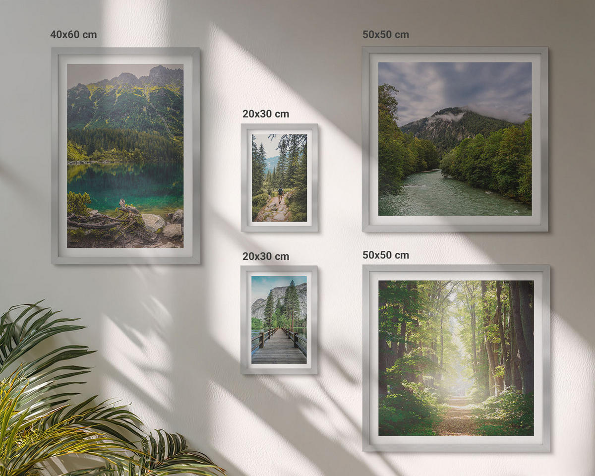 BILDER SET 5er Set - 50x50 cm & 20x30 cm & 40x60 cm Silberner Rahmen - Straße Wald Berge Hirsch Natur - Silberfarben, Kunststoff (40/60cm) - TULUP