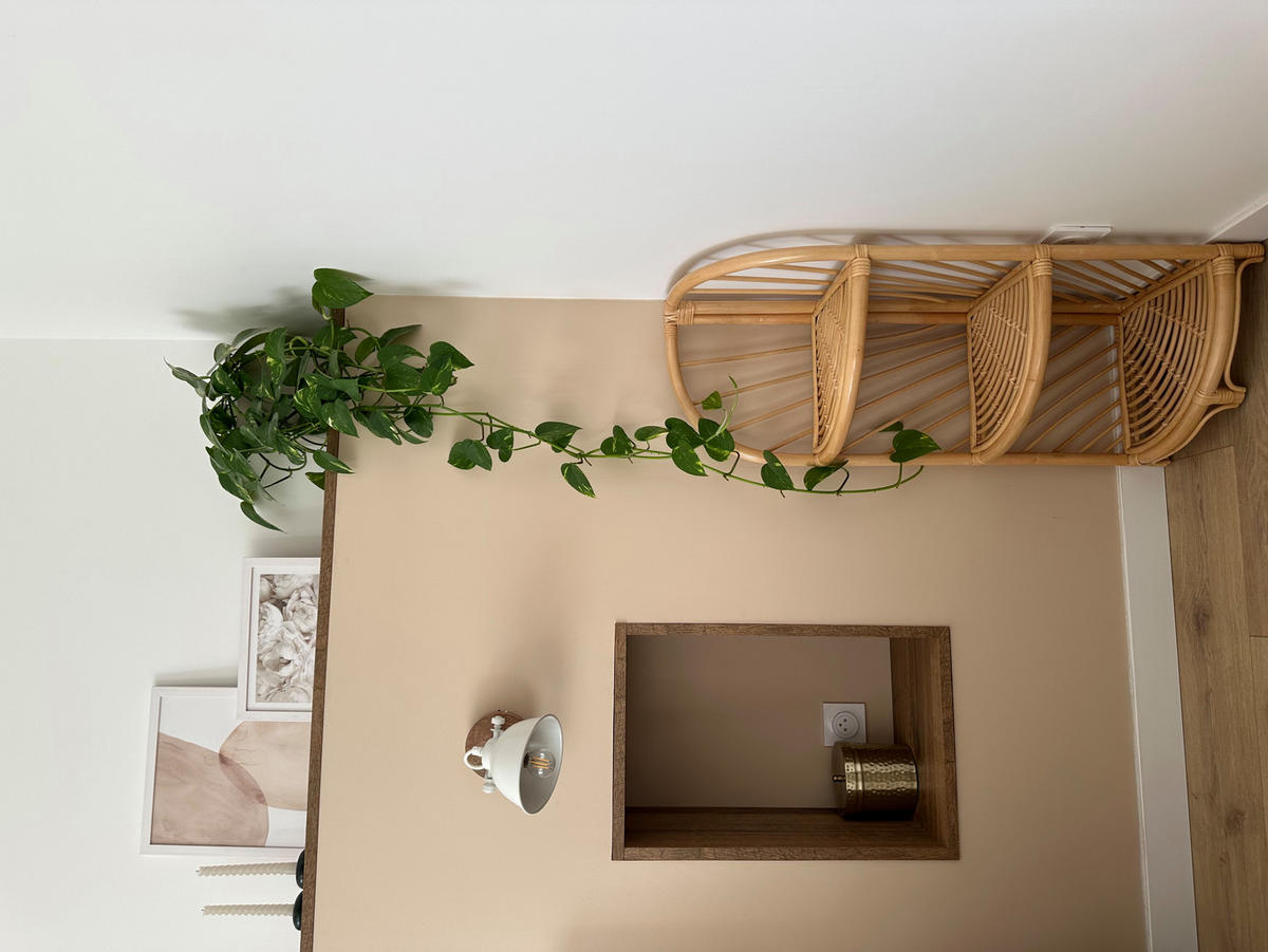 REGAL Braun - Braun, Holz (30/90/30cm) - Nordlys