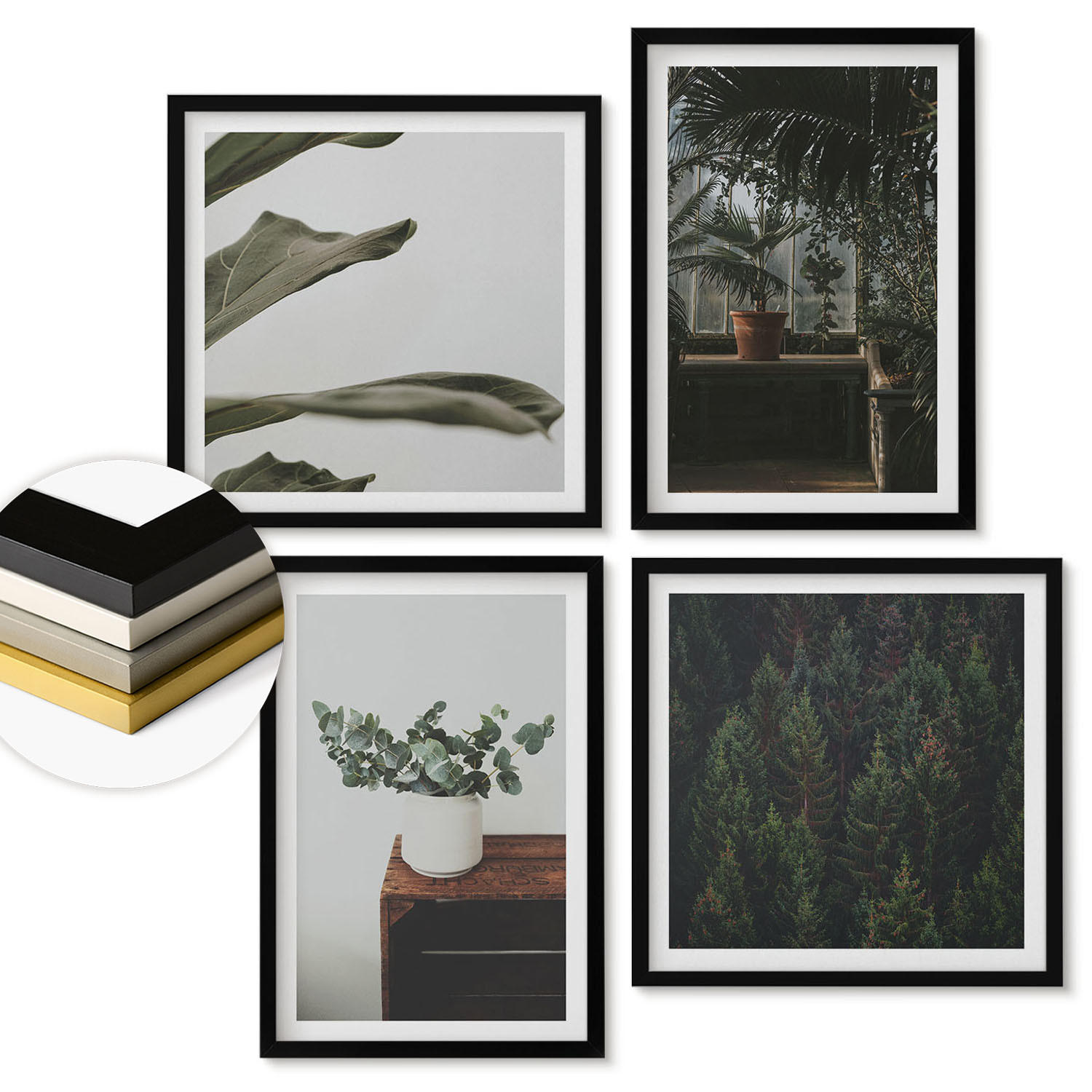 WANDBILDER 4er-Set - 50x50 cm & 40x60 cm Schwarzer Rahmen - Rustikale Topfpflanzen - Schwarz, Kunststoff (50/50cm) - ArtPrintCave