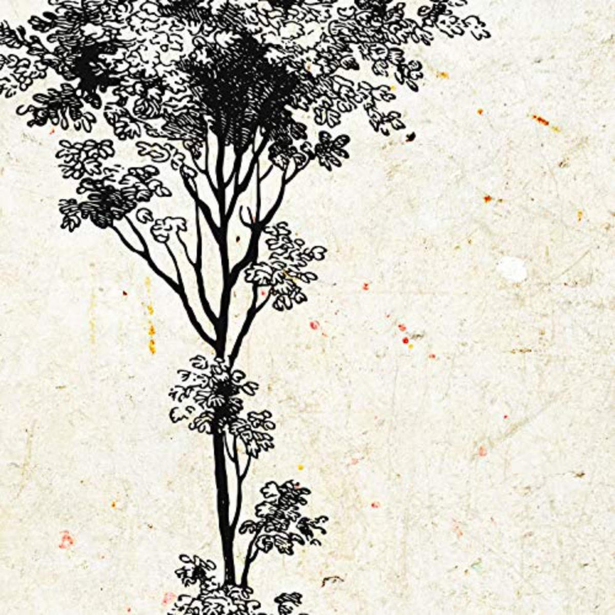 POSTER Set mit 4 Blättern der Baumstämme Jahrgang Hintergrund 30x30 cm Rahmenlos - Klar, Papier (30/3cm) - Nacnic