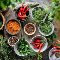 GLASBILD 30x30 cm Küche Kräuter - Gelb, Glas (30/30cm) - artissimo