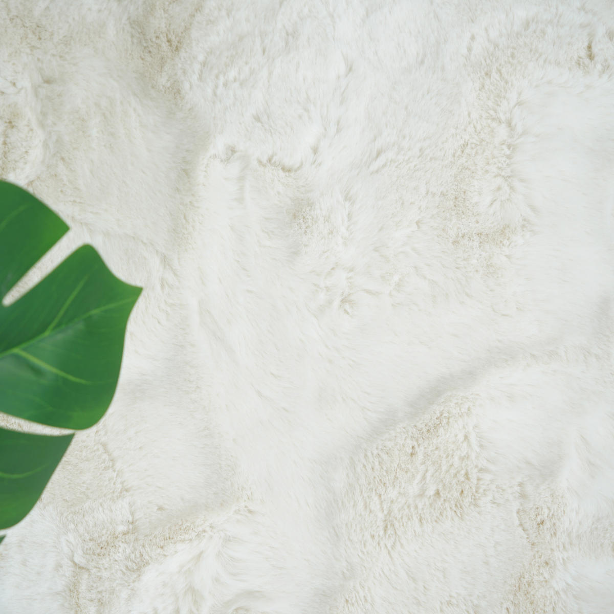 FELLTEPPICH CLOUD SUPER SOFT 200/200 cm Ivory Elfenbeinn - Creme, Textil (200/200cm) - Consilio Concept