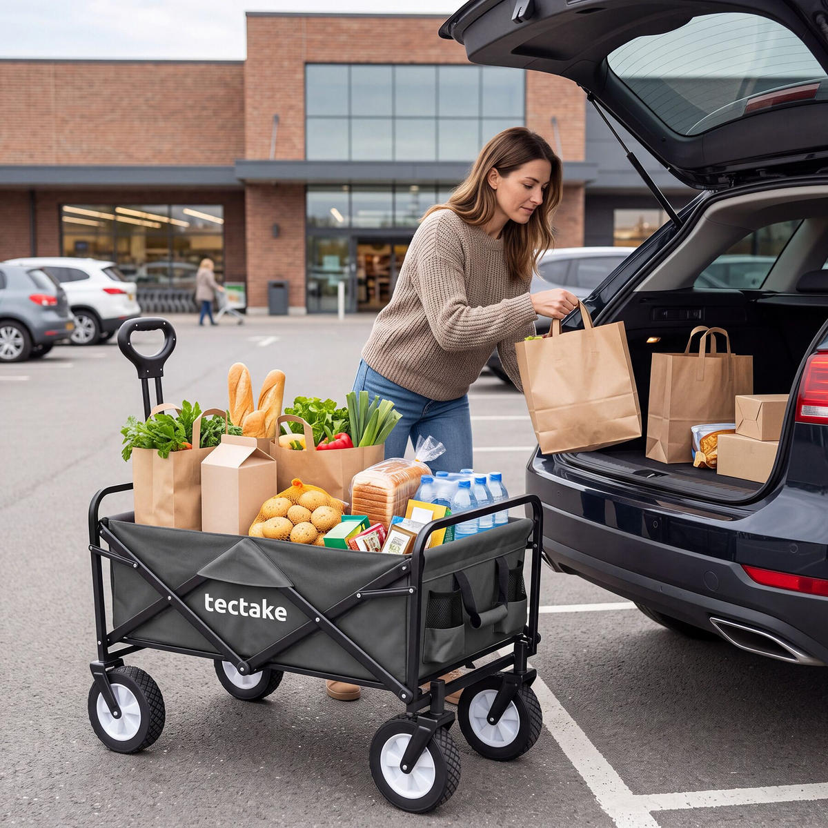 BOLLERWAGEN Leon, inklusive Tragetasche, Belastbarkeit 80 kg, grau - Grau, Kunststoff (53.5/101/91cm) - tectake