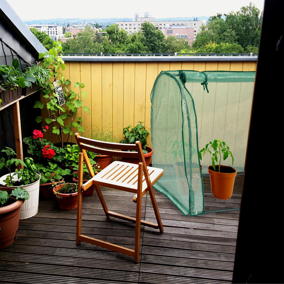 FOLIENGEWÄCHSHAUS - Transparent, Kunststoff/Metall (113/80/70cm) - Relaxdays