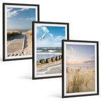 BILDER SET 3er Set - 40x60 cm Schwarzer Rahmen - Strand, Sand, Wellen, Himmel, Vögel - Schwarz, Kunststoff (40/60cm) - TULUP