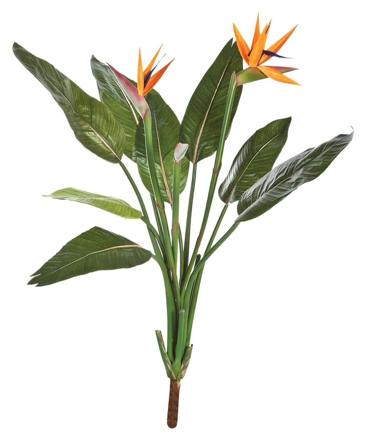 KÜNSTLICHE Strelitzia - Kali' 100 cm - Grün, Kunststoff (100cm) - aplanta