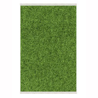 FLACHTEPPICH Wohnzimmer Läufer 80/150cm GRUN - Grün, Textil (80/150cm) - ROLFNERS