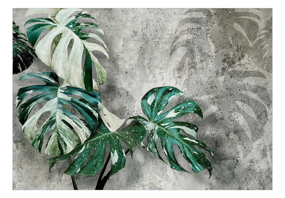 SELBSTKLEBENDE FOTOTAPETE 245/175 cm - Grau/Grün, Kunststoff/Textil (245/1cm) - KUNSTLOFT