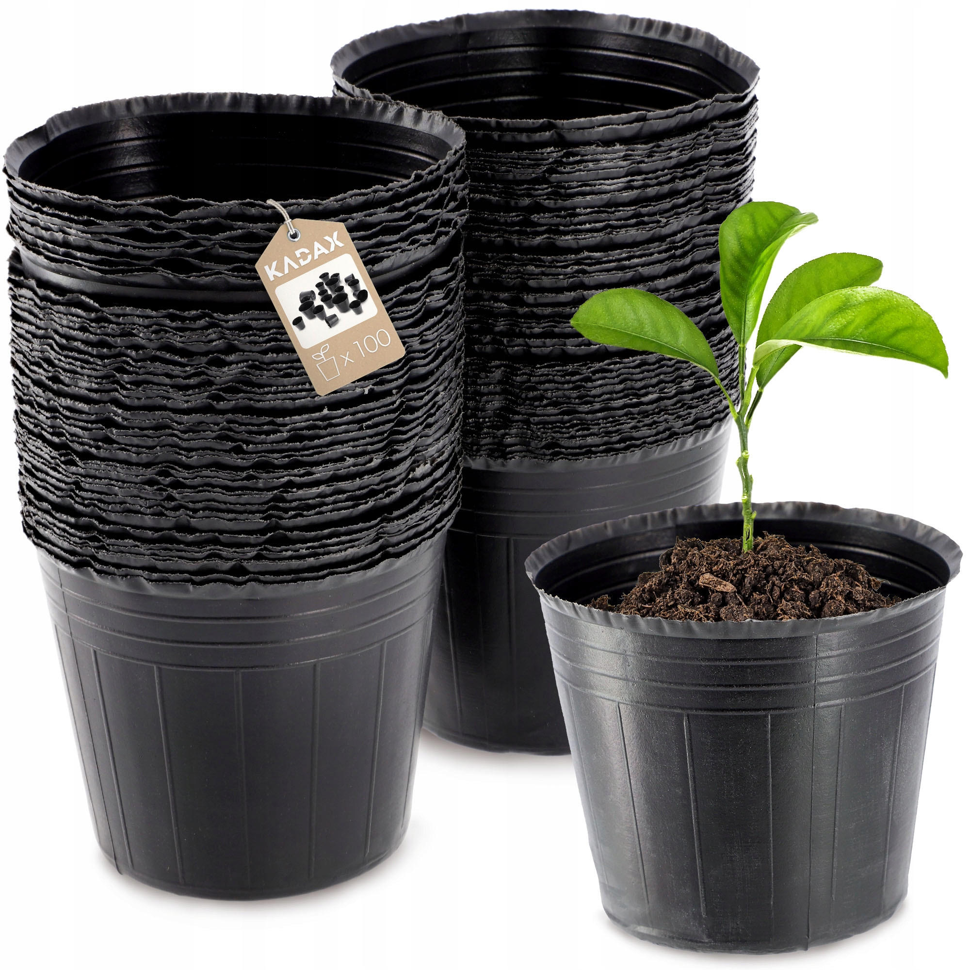SAMENTOPF, rund, 9 cm, 100 Stück - Schwarz, Kunststoff - KADAX