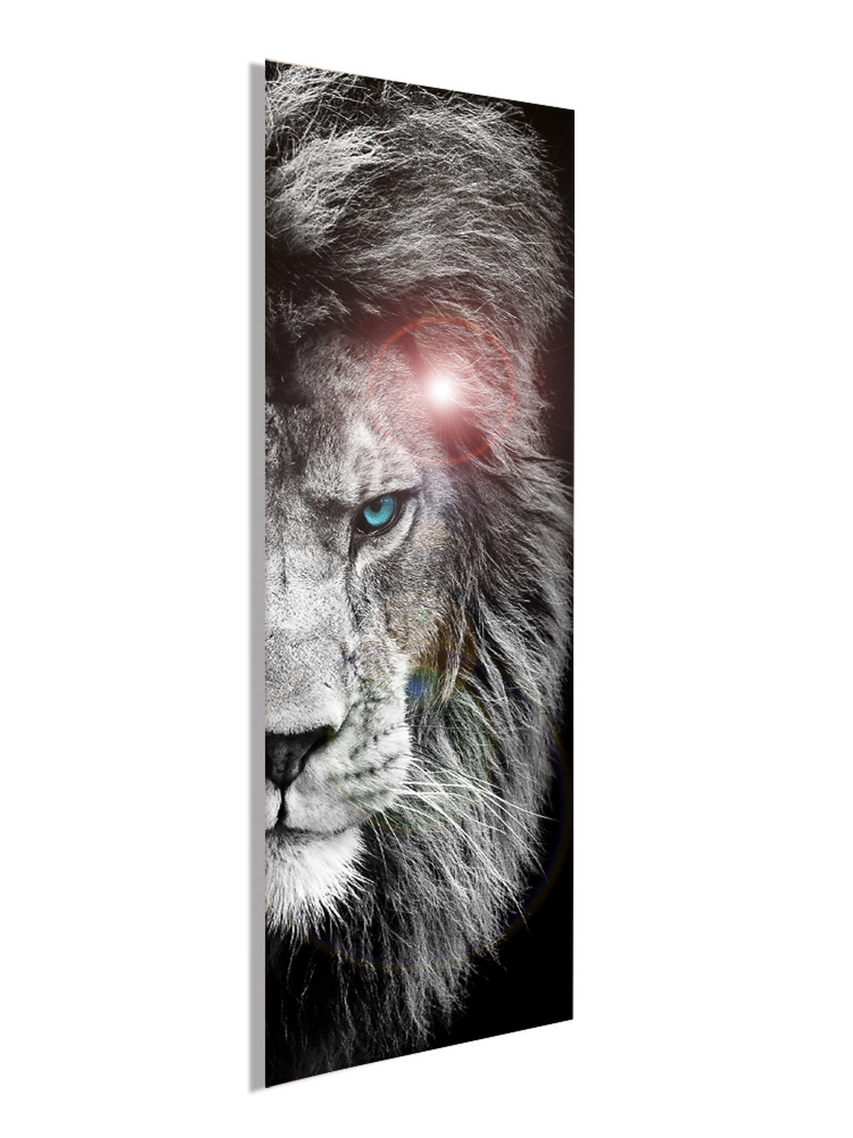 GLASBILD 30x80 cm Löwe - Schwarz/Weiß, Glas (30/80cm) - artissimo